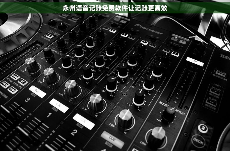 永州语音记账免费软件让记账更高效