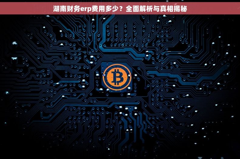 湖南财务erp费用多少？全面解析与真相揭秘