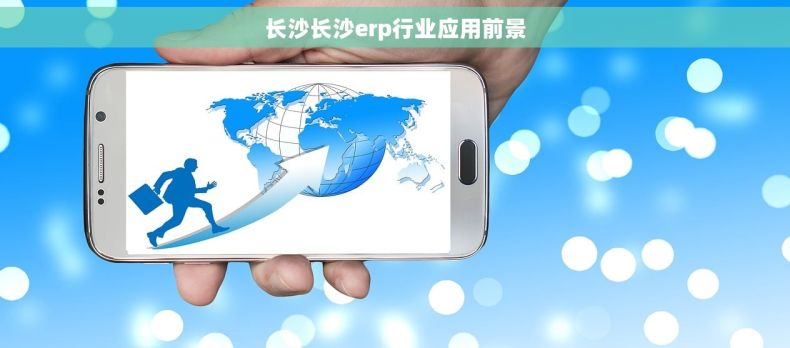 长沙长沙erp行业应用前景