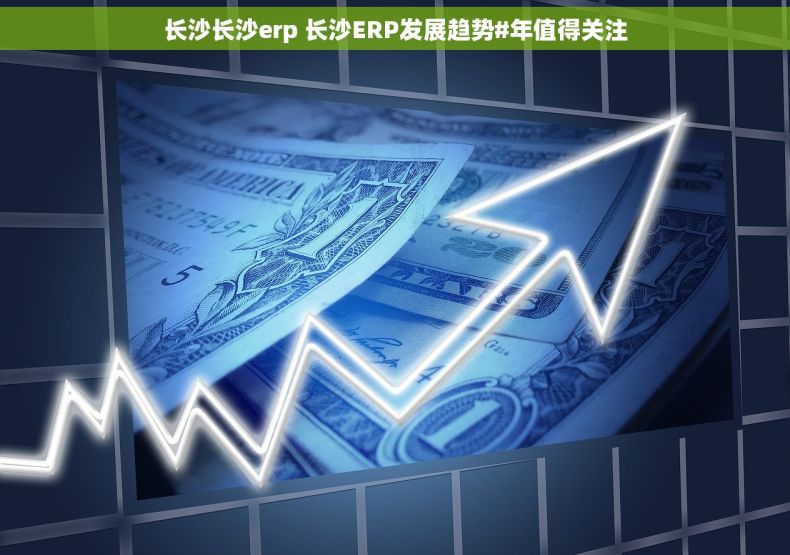 长沙长沙erp 长沙ERP发展趋势#年值得关注