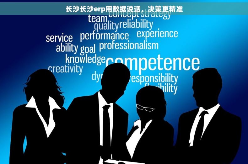 长沙长沙erp用数据说话，决策更精准