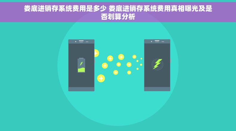 娄底进销存系统费用是多少 娄底进销存系统费用真相曝光及是否划算分析