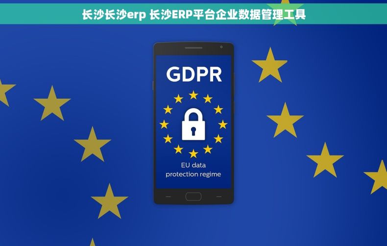 长沙长沙erp 长沙ERP平台企业数据管理工具