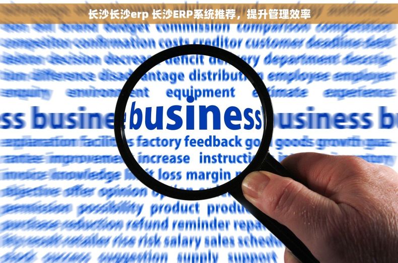 长沙长沙erp 长沙ERP系统推荐，提升管理效率