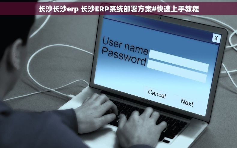 长沙长沙erp 长沙ERP系统部署方案#快速上手教程