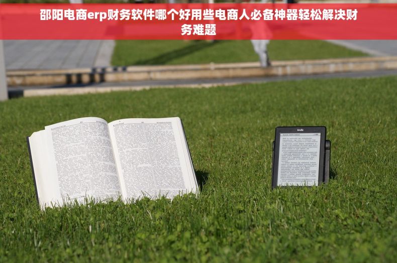邵阳电商erp财务软件哪个好用些电商人必备神器轻松解决财务难题