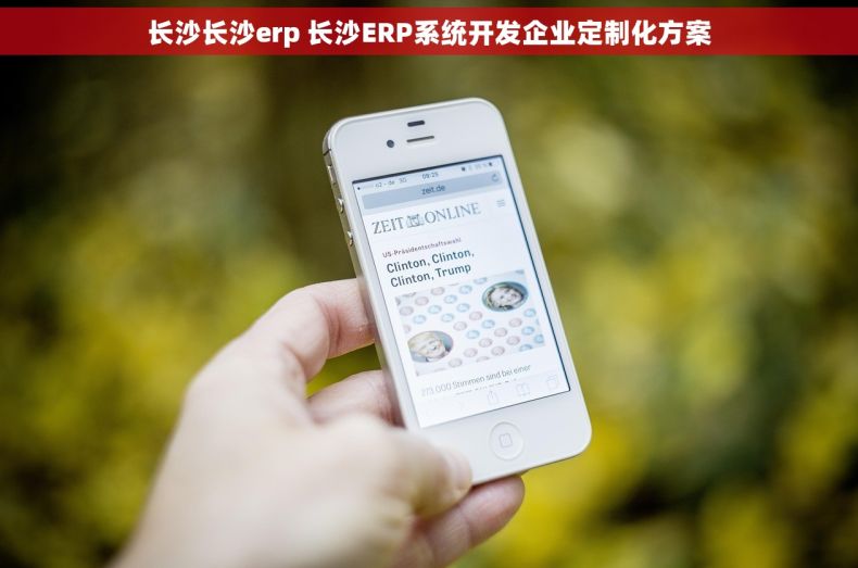 长沙长沙erp 长沙ERP系统开发企业定制化方案