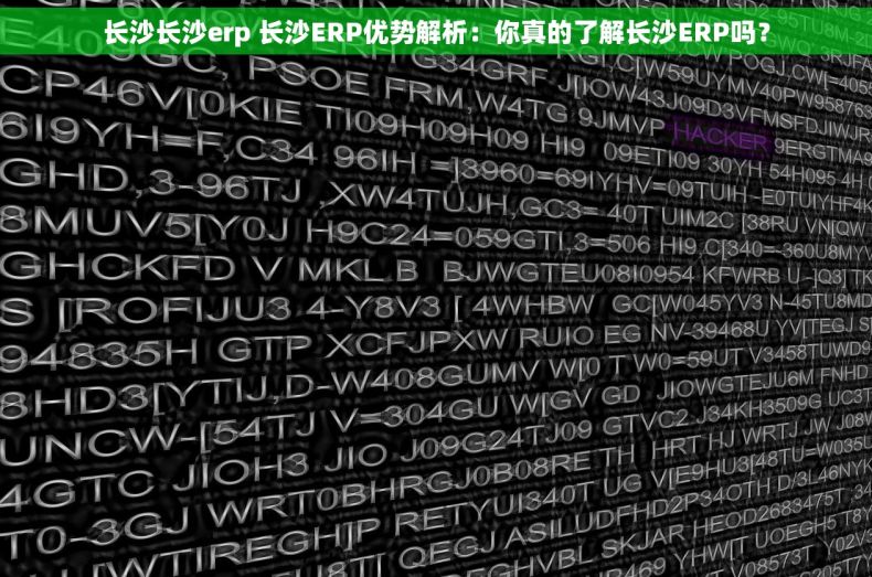 长沙长沙erp 长沙ERP优势解析：你真的了解长沙ERP吗？