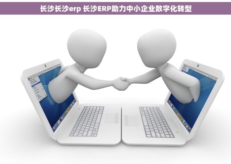 长沙长沙erp 长沙ERP助力中小企业数字化转型