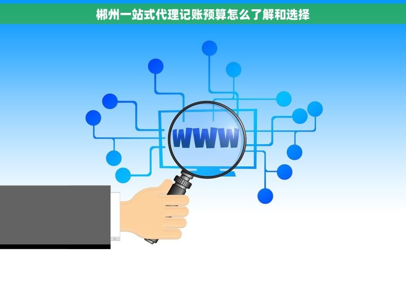郴州一站式代理记账预算怎么了解和选择