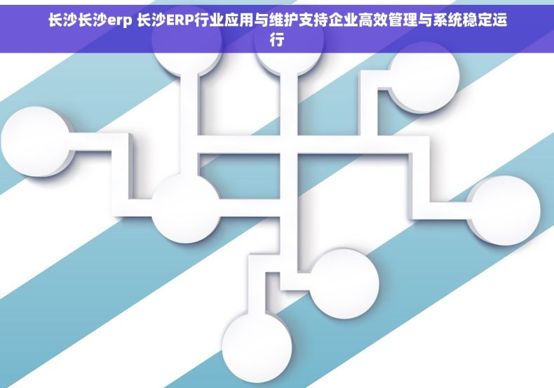 长沙长沙erp 长沙ERP行业应用与维护支持企业高效管理与系统稳定运行