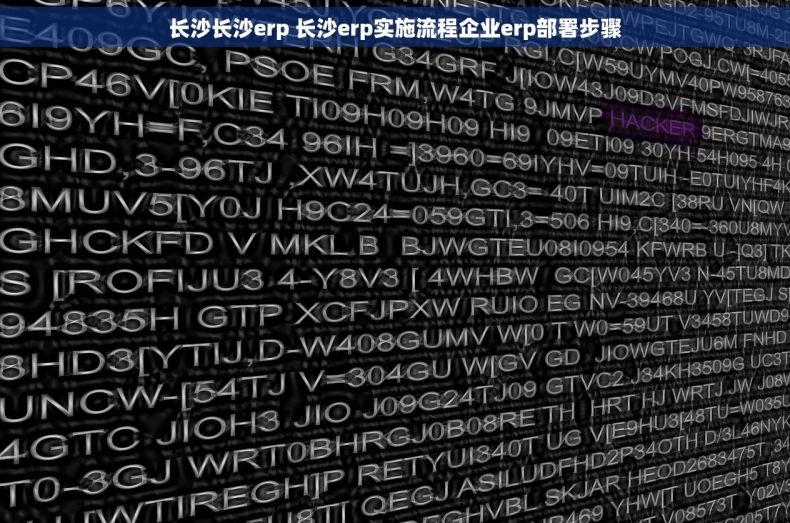 长沙长沙erp 长沙erp实施流程企业erp部署步骤