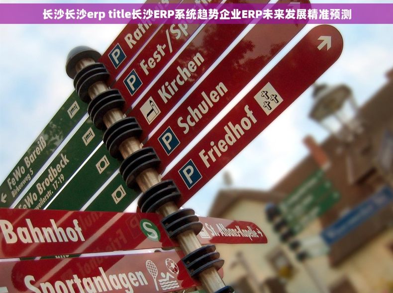 长沙长沙erp title长沙ERP系统趋势企业ERP未来发展精准预测
