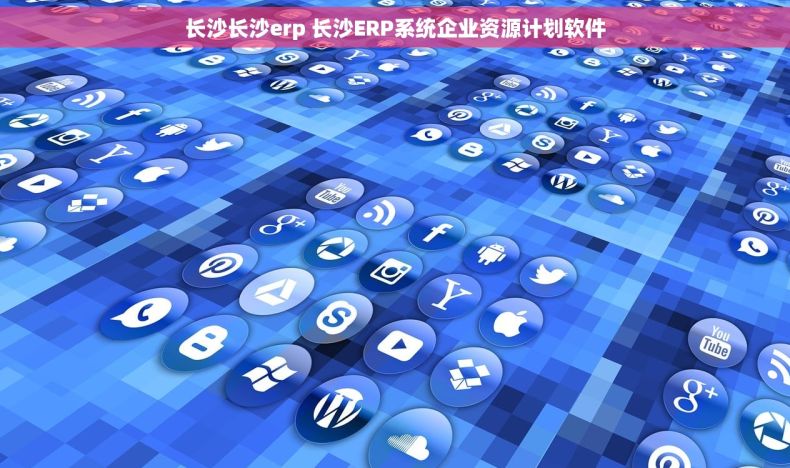长沙长沙erp 长沙ERP系统企业资源计划软件