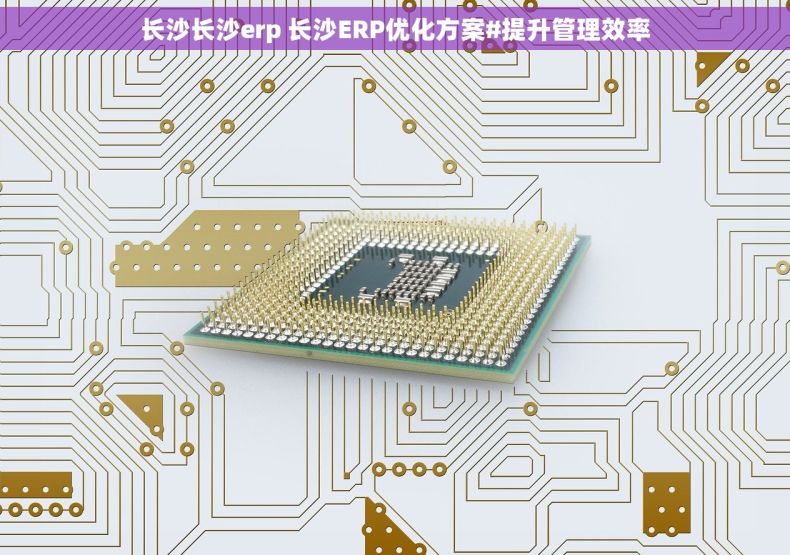 长沙长沙erp 长沙ERP优化方案#提升管理效率