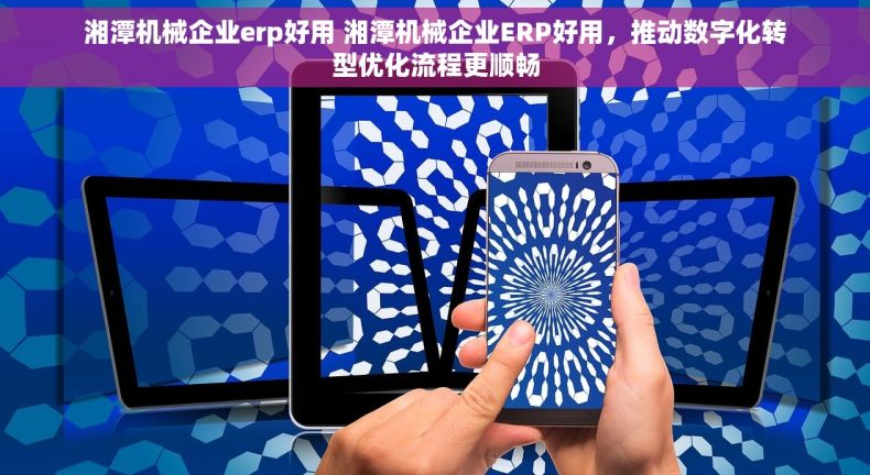 湘潭机械企业erp好用 湘潭机械企业ERP好用，推动数字化转型优化流程更顺畅