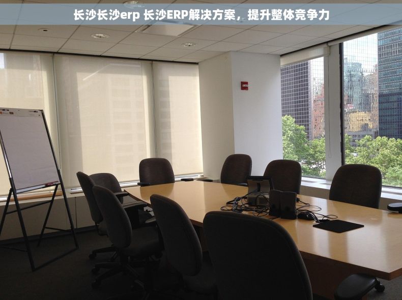 长沙长沙erp 长沙ERP解决方案，提升整体竞争力