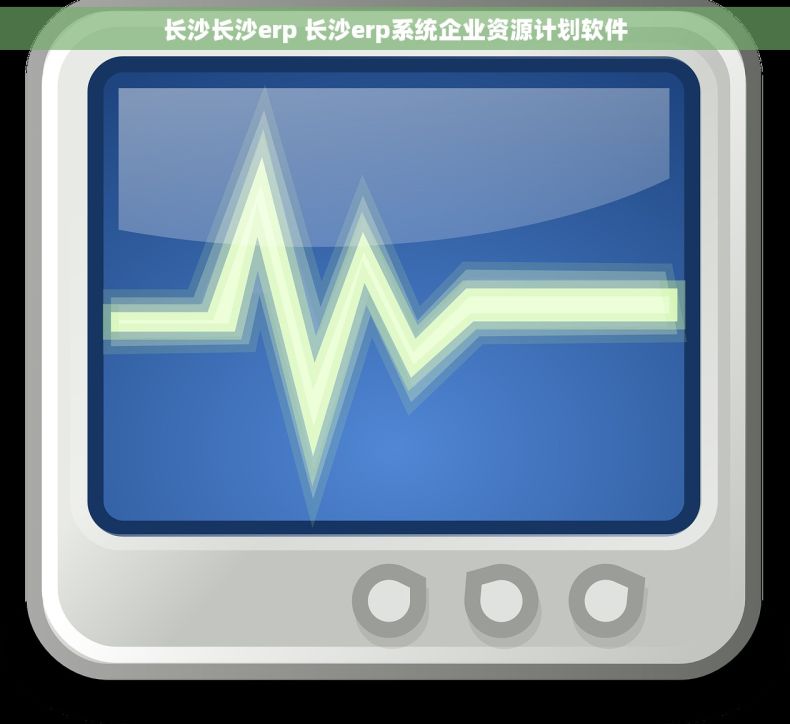 长沙长沙erp 长沙erp系统企业资源计划软件