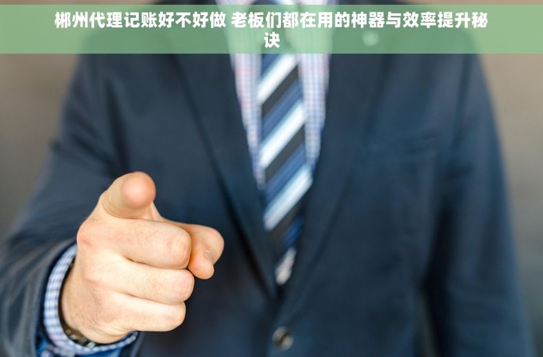 郴州代理记账好不好做 老板们都在用的神器与效率提升秘诀