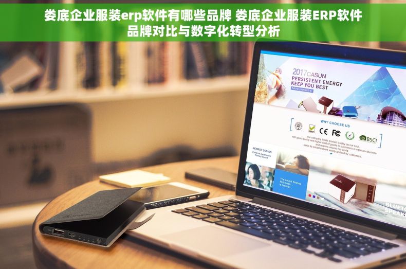 娄底企业服装erp软件有哪些品牌 娄底企业服装ERP软件品牌对比与数字化转型分析