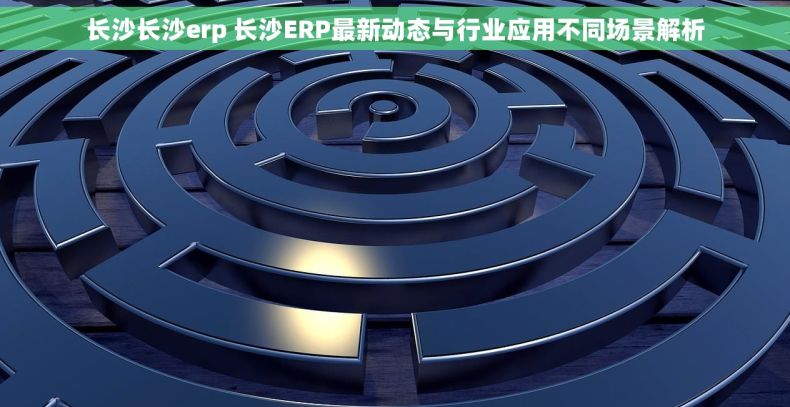 长沙长沙erp 长沙ERP最新动态与行业应用不同场景解析
