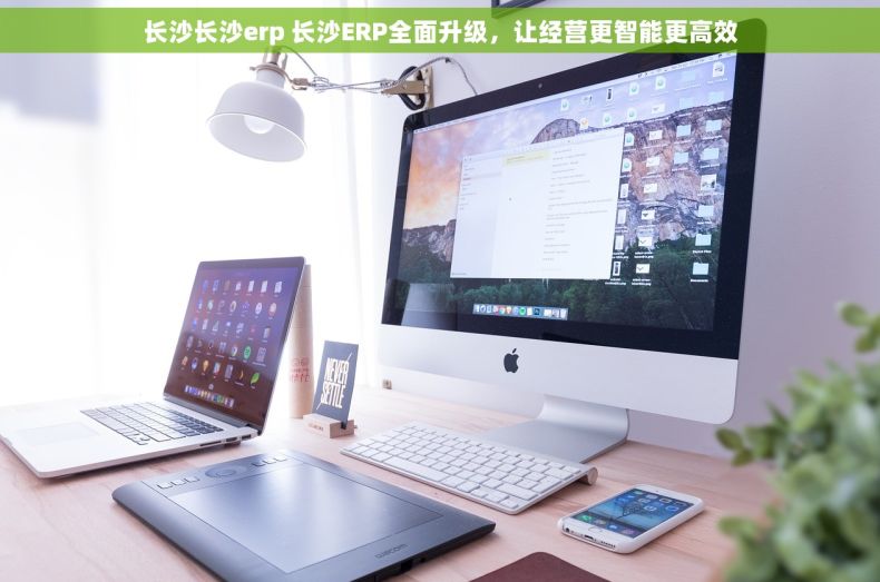 长沙长沙erp 长沙ERP全面升级，让经营更智能更高效