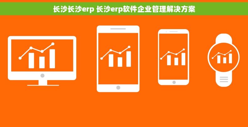 长沙长沙erp 长沙erp软件企业管理解决方案