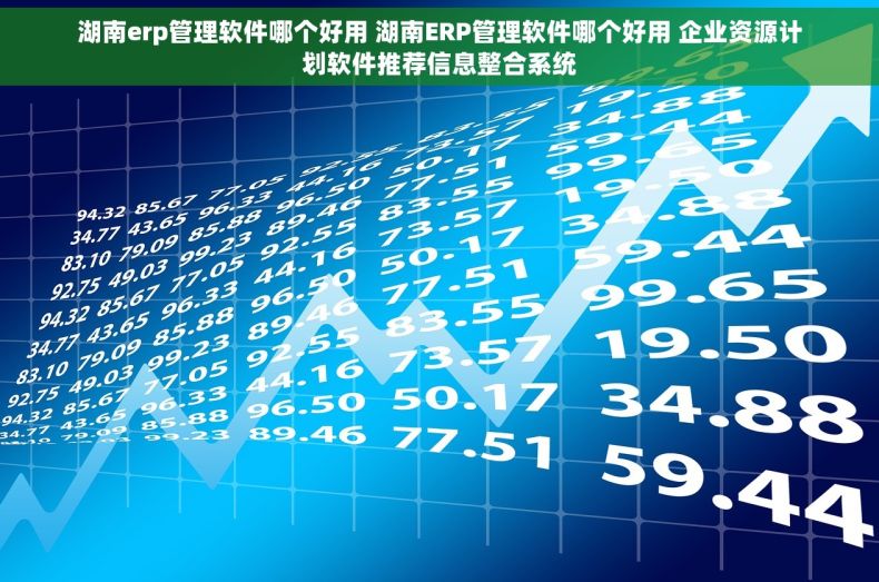 湖南erp管理软件哪个好用 湖南ERP管理软件哪个好用 企业资源计划软件推荐信息整合系统