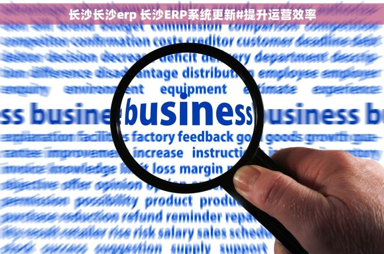 长沙长沙erp 长沙ERP系统更新#提升运营效率