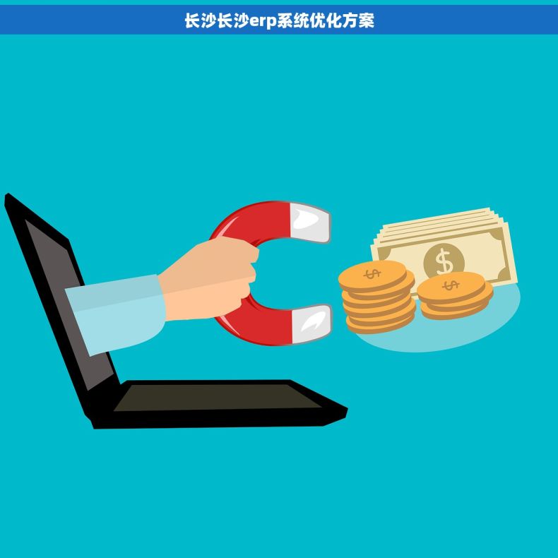 长沙长沙erp系统优化方案