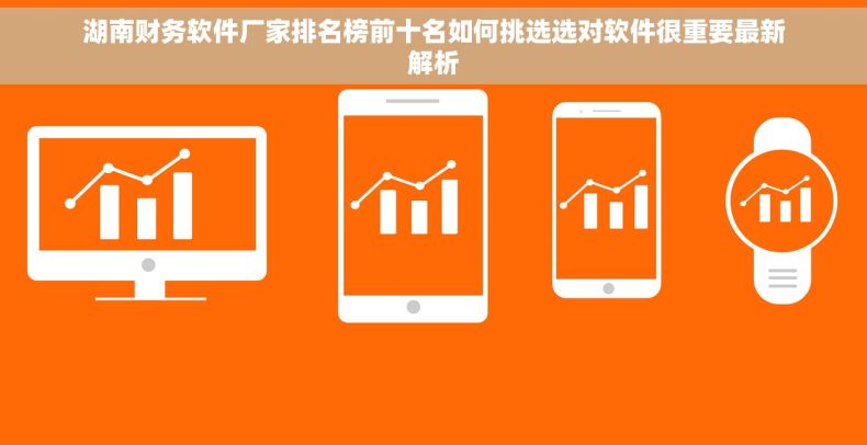 湖南财务软件厂家排名榜前十名如何挑选选对软件很重要最新解析