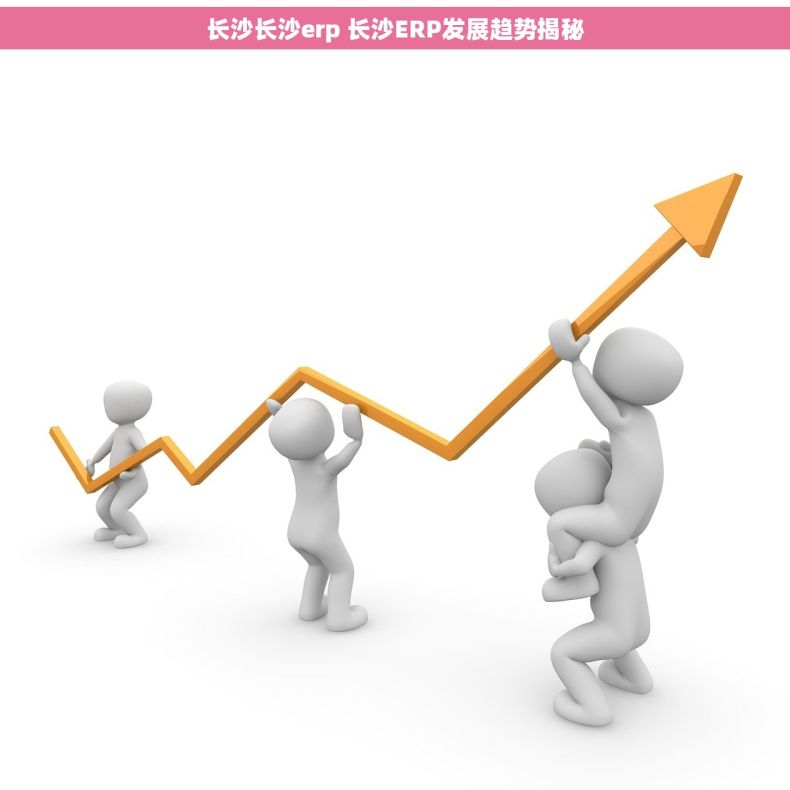 长沙长沙erp 长沙ERP发展趋势揭秘