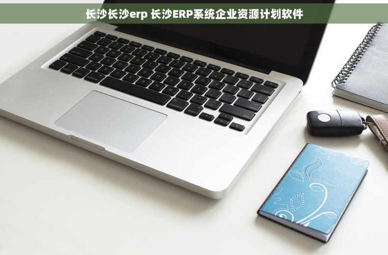 长沙长沙erp 长沙ERP系统企业资源计划软件