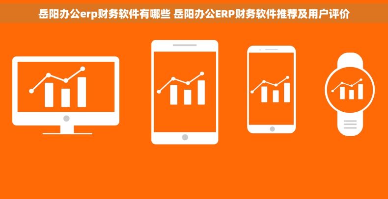 岳阳办公erp财务软件有哪些 岳阳办公ERP财务软件推荐及用户评价