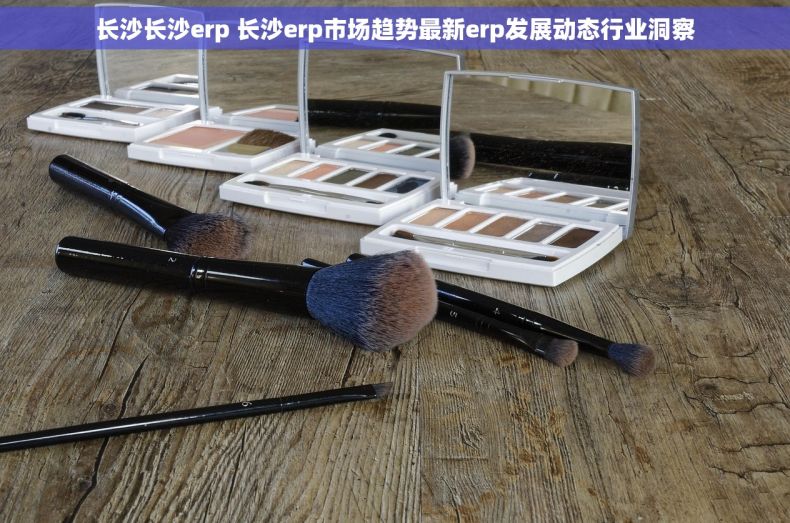 长沙长沙erp 长沙erp市场趋势最新erp发展动态行业洞察