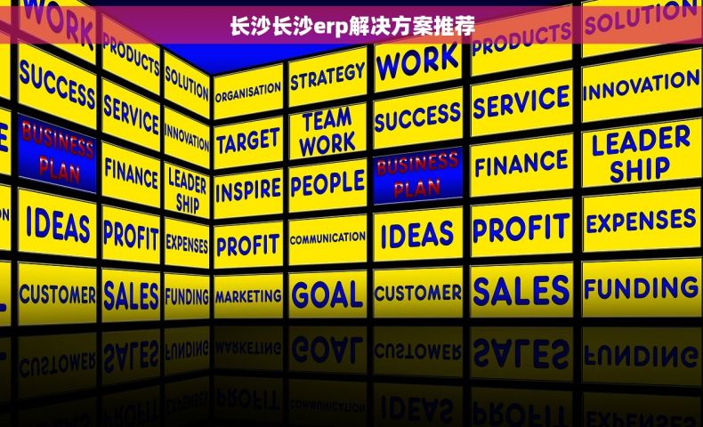 长沙长沙erp解决方案推荐