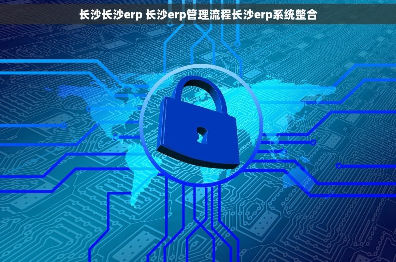 长沙长沙erp 长沙erp管理流程长沙erp系统整合