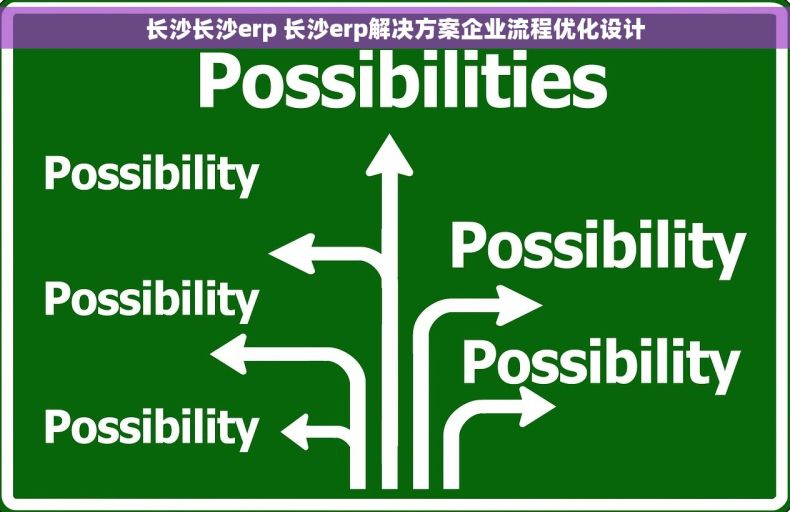 长沙长沙erp 长沙erp解决方案企业流程优化设计