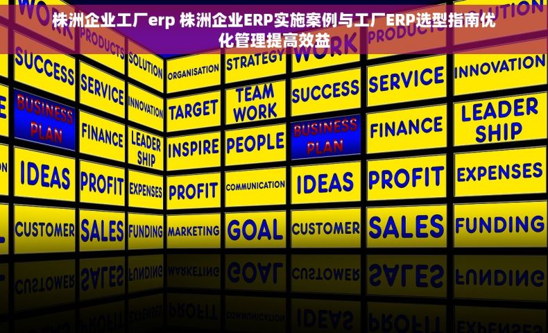 株洲企业工厂erp 株洲企业ERP实施案例与工厂ERP选型指南优化管理提高效益