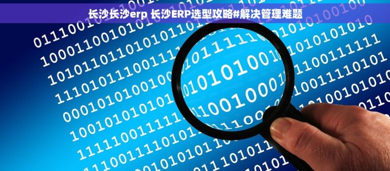 长沙长沙erp 长沙ERP选型攻略#解决管理难题