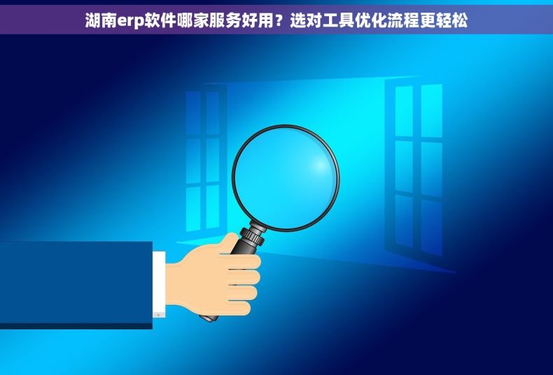 湖南erp软件哪家服务好用？选对工具优化流程更轻松