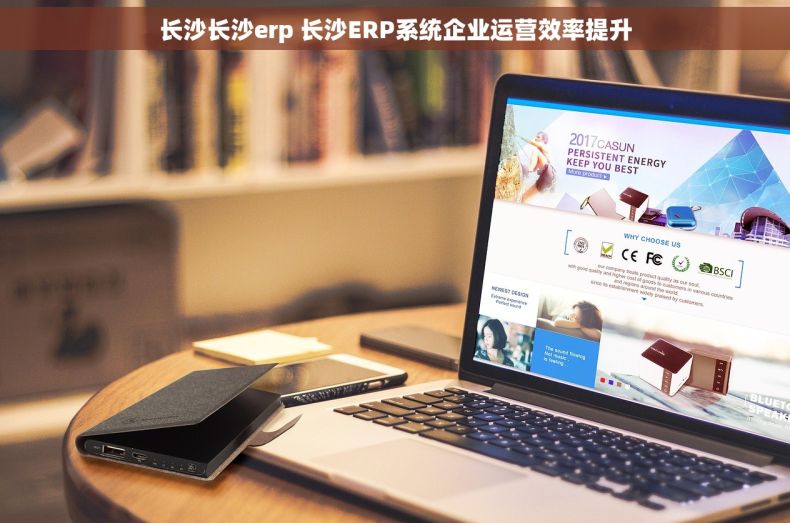 长沙长沙erp 长沙ERP系统企业运营效率提升