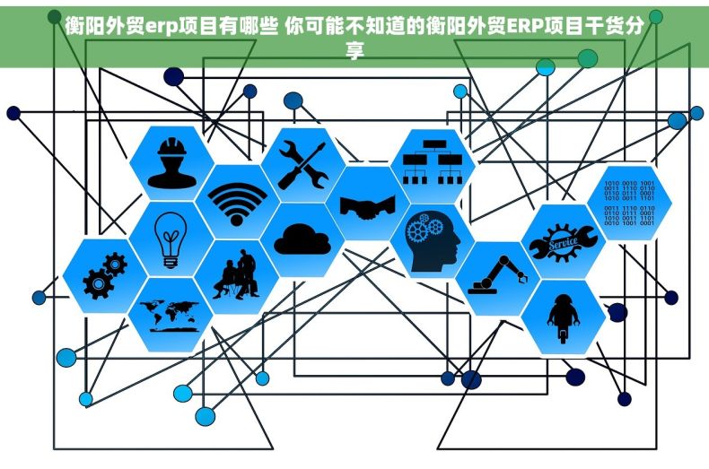 衡阳外贸erp项目有哪些 你可能不知道的衡阳外贸ERP项目干货分享