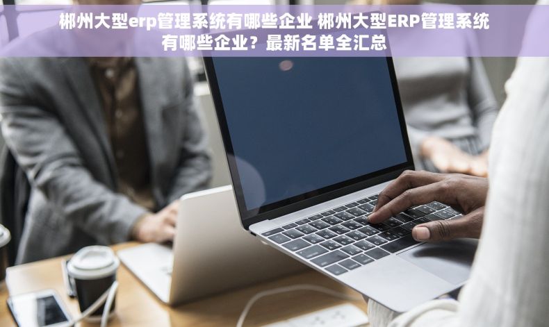 郴州大型erp管理系统有哪些企业 郴州大型ERP管理系统有哪些企业？最新名单全汇总