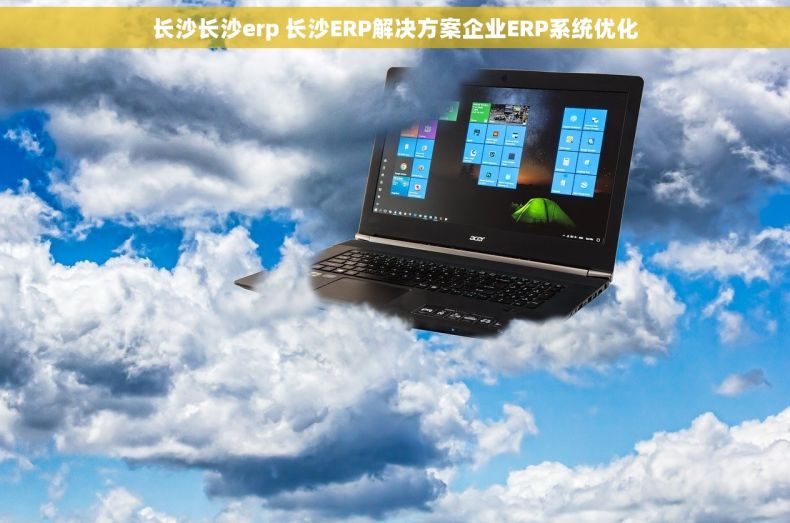 长沙长沙erp 长沙ERP解决方案企业ERP系统优化