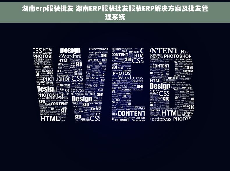 湖南erp服装批发 湖南ERP服装批发服装ERP解决方案及批发管理系统