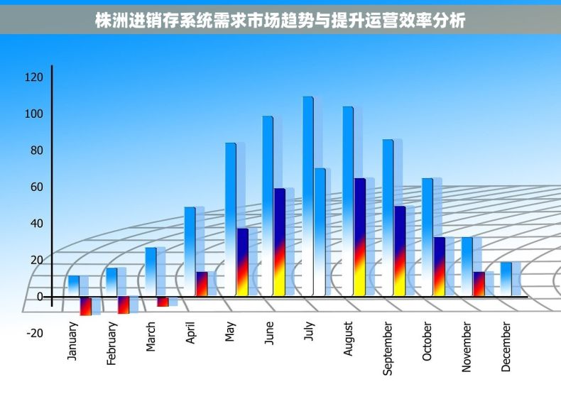 株洲进销存系统需求市场趋势与提升运营效率分析
