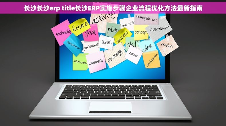长沙长沙erp title长沙ERP实施步骤企业流程优化方法最新指南