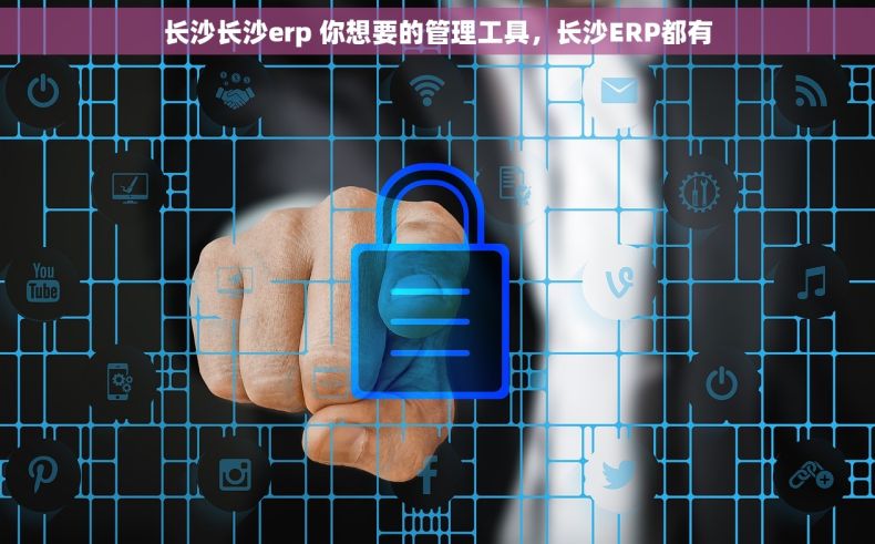 长沙长沙erp 你想要的管理工具，长沙ERP都有