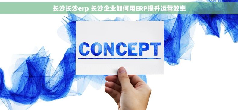 长沙长沙erp 长沙企业如何用ERP提升运营效率
